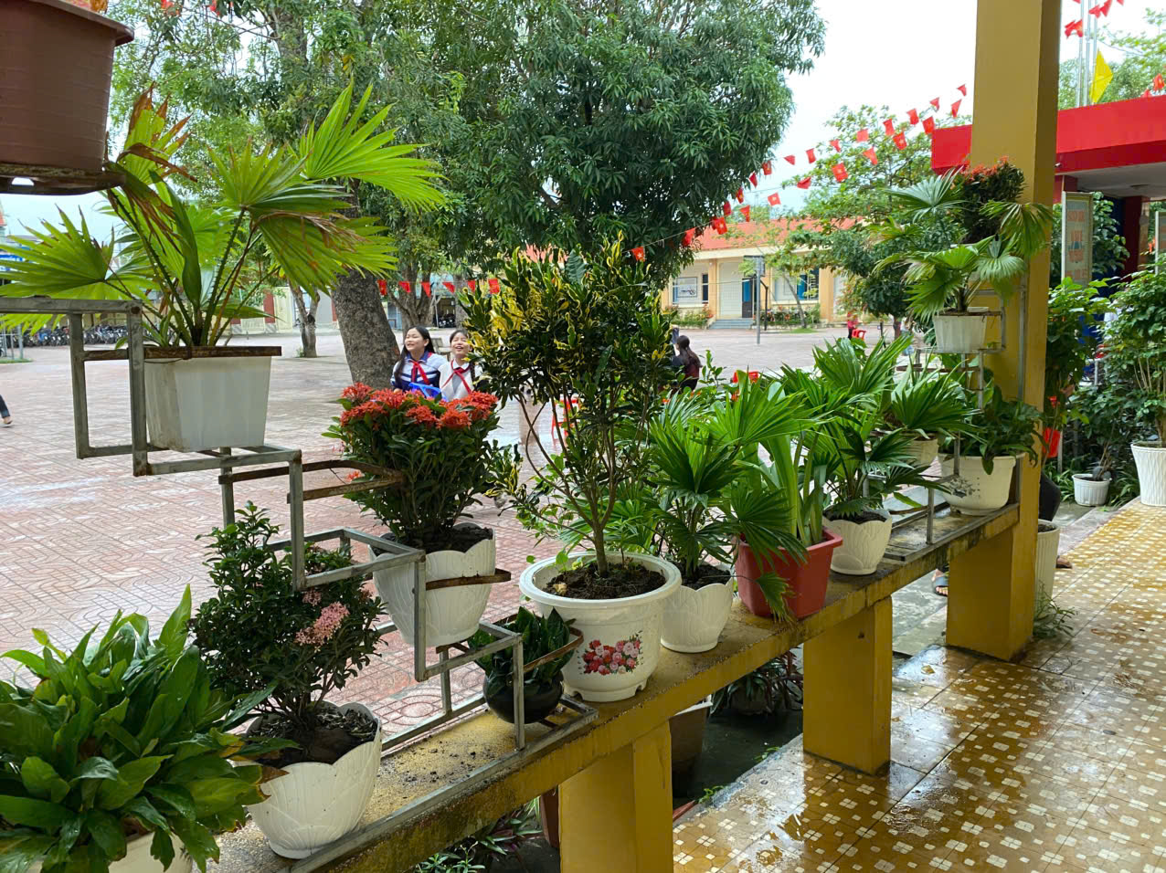 KHÔNG GIAN ĐẸP TRƯỚC LỚP HỌC